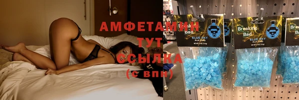 сатива Зеленокумск