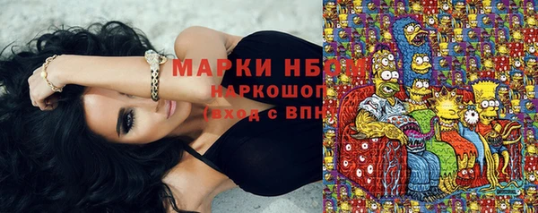 сатива Зеленокумск