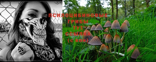бошки Зеленодольск