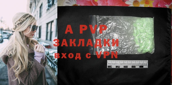 сатива Зеленокумск