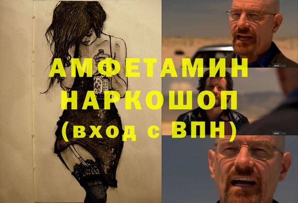сатива Зеленокумск