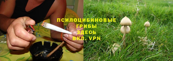 сатива Зеленокумск