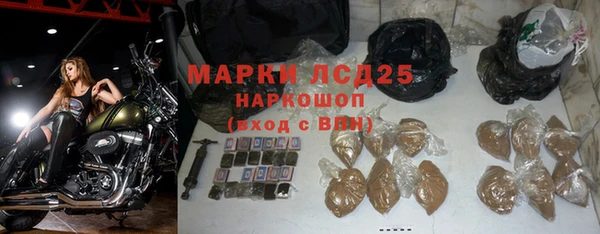 сатива Зеленокумск