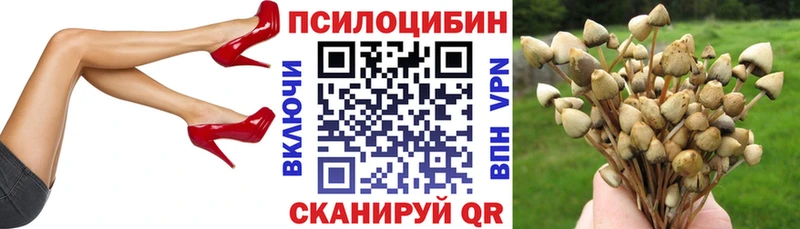Псилоцибиновые грибы мухоморы  Купить  Балей 
